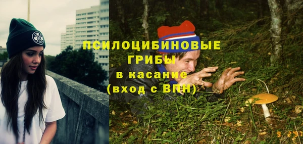дмт Арсеньев