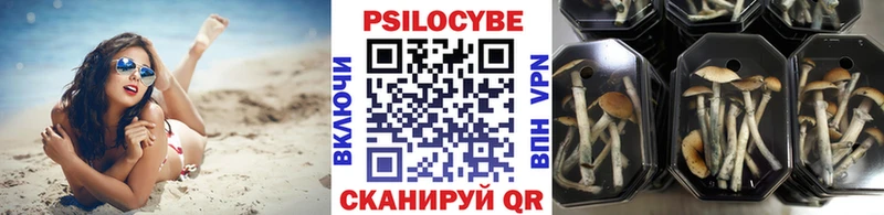 Псилоцибиновые грибы прущие грибы  где можно купить наркотик  MEGA ССЫЛКА  Строитель 